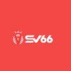 4b80be logo sv66